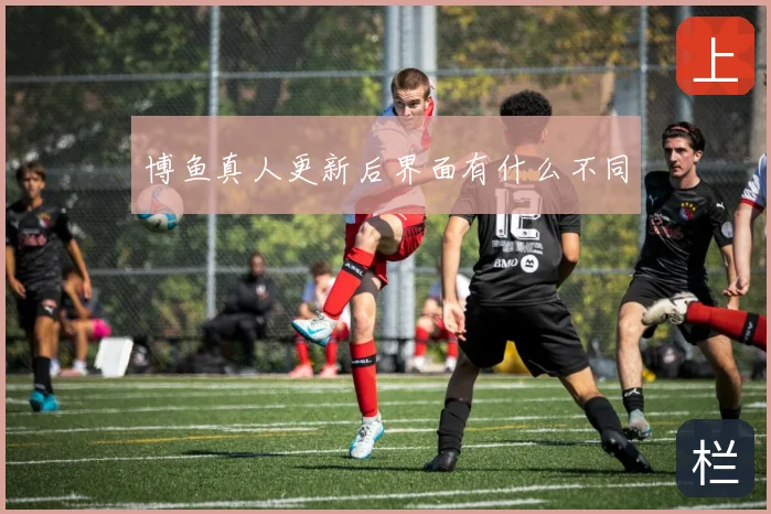 博鱼真人更新后界面有什么不同