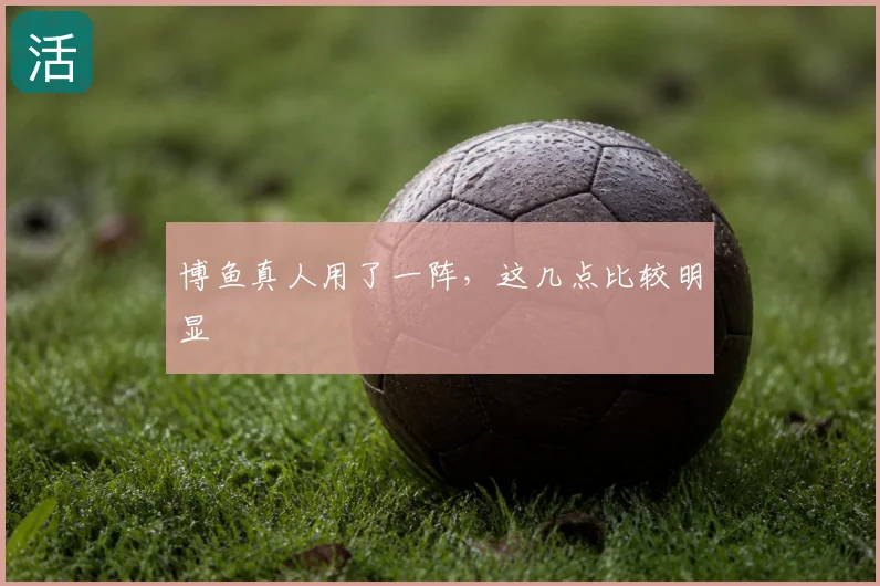 博鱼真人用了一阵，这几点比较明显